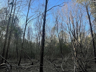 TRACT 2 S Carolina 219, Pomaria, SC 29126 - photo 2