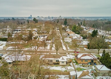 Skyline and Back Yard