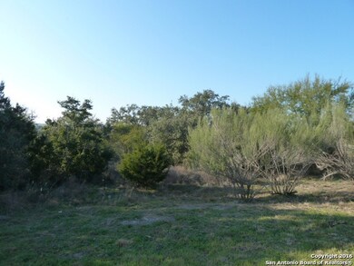 23411 Wilderness Cove, San Antonio, TX 78261 - photo 5
