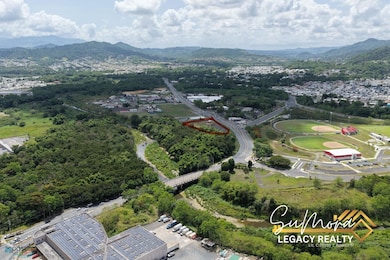 PR 183 INT 789 BO TOMAS DE CASTRO, CAGUAS PR