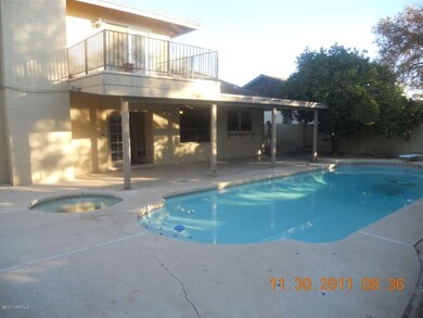 Backyard Pool