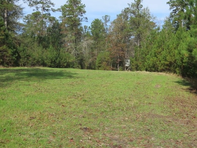 County Hwy 34 unit LotWP001, Waynesboro, MS 39367 - photo 2