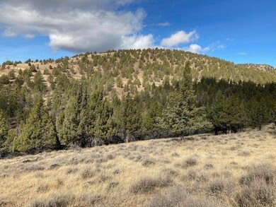 0 Shop Gulch unit 220111419, Mount Vernon, OR 97865 - photo 7