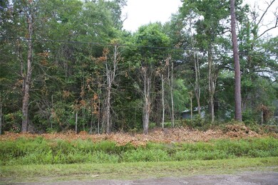 View of the lot from Wright Blvd