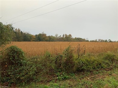 4955 Waynick Meadow Rd, Asheboro, NC 27205 - photo 3