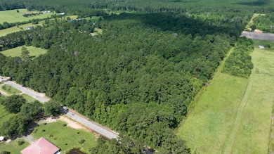 DJI_20250624102831_0013_D