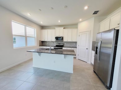 9051 Coral Cape St, Kissimmee, FL 34747 - photo 3