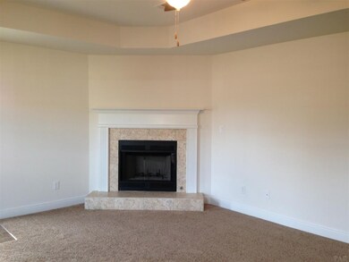 Gas fireplace