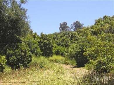 10 ACS Bakton Way, Valley Center, CA 92082 - photo 5