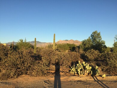 La Cresta View East Catalinas