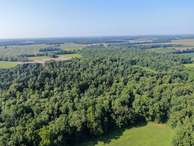 7565 S County Rd 800 W, Paris Crossing, IN 47270 - photo 7