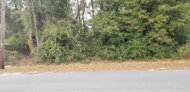 00000 N Lemacks St, Walterboro, SC 29488 - photo 5