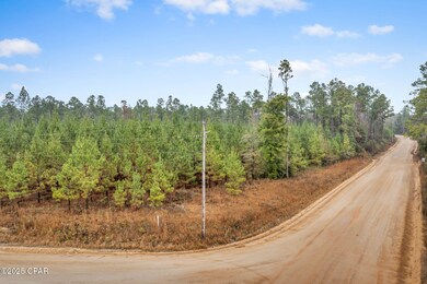XXX White Rd unit 12.78 Acres, Chipley, FL 32428 - photo 2