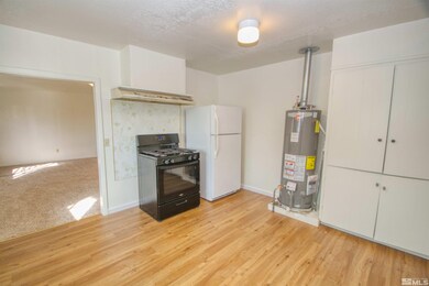 4300 Reno Hwy unit 1, Fallon, NV 89406 - photo 3