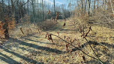 28515 Fool's Lake Dr, Two Inlets Township, MN 56470 - photo 7