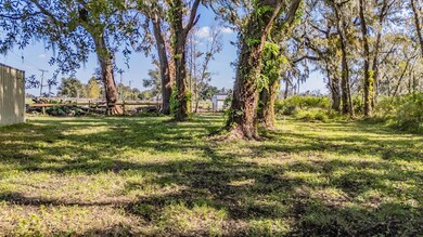 18113 672 Hwy, Lithia, FL 33547 - photo 6