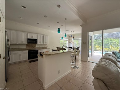 15818 Delaplata Ln, Naples, FL 34110 - photo 6