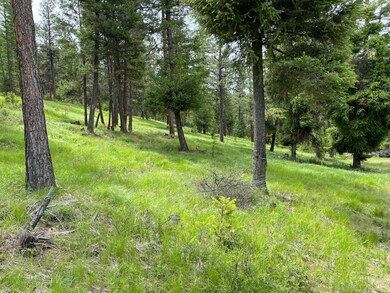 235 Highland Meadow Rd, Kila, MT 59920 - photo 6