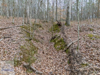 0 Dennis Creek Rd unit 158990, Talbotton, GA 31827 - photo 5