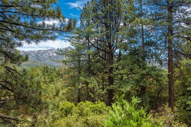 View from deck