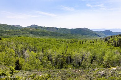 2503 Way Spruce Midway UT 84049 USA-004-