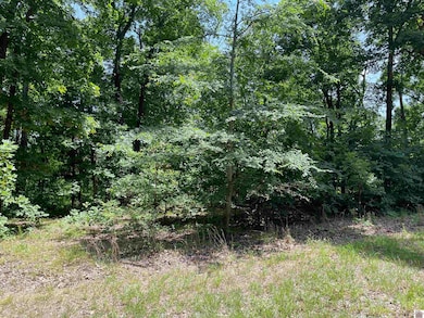 00 Hawkridge Rd unit Lot 41 Hawkridge Wes, Murray, KY 42071 - photo 3