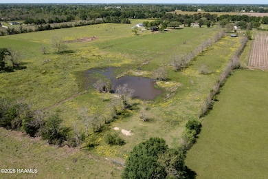 7-web-or-mls-DJI_0021