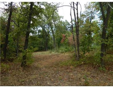 11141 Snavely Rd, Elm Springs, AR 72762 - photo 7