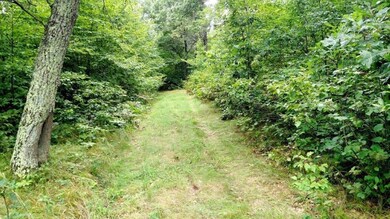 0 Hwy A unit 905098, Webster, WI 54893 - photo 2