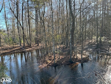 217 Wadboo Plantation Rd, Saint Stephen, SC 29479 - photo 5