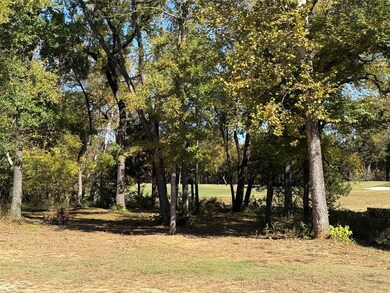 230 Club House Rd, Gordonville, TX 76245 - photo 6