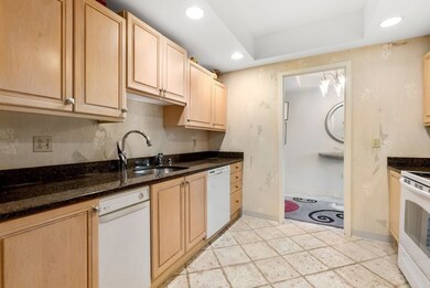 79 Florence St unit 308S, Chestnut Hill, MA 02467 - photo 4