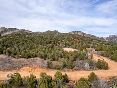 5458 Cougar Run unit 41, Birdseye, UT 84629 - photo 4