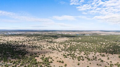 DJI_20240819140135_0225_D (2)