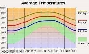 343 Pinehurst Ave, Lehigh Acres, FL 33974 - photo 5