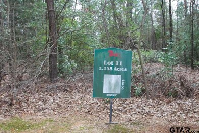 2045 Equestrian Ln, Tyler, TX 75703 - photo 7