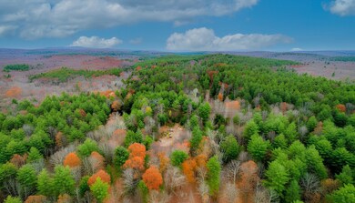 38 King Dr, Wilbraham, MA 01095 - photo 5