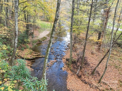 126 Lower Nettle Knob Rd, West Jefferson, NC 28694 - photo 2