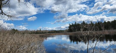 Webb Brook 2