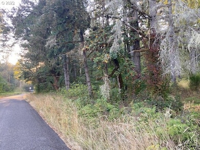 0 McGowan Creek Rd unit 23316316, Springfield, OR 97478 - photo 5