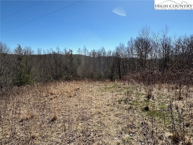 TBD Shulls Mill Rd, Blowing Rock, NC 28605 - photo 3
