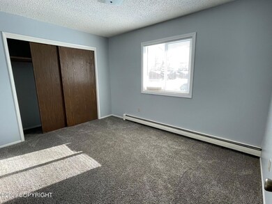 Fresh Carpet