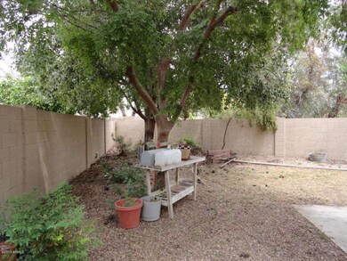 backyard pic4