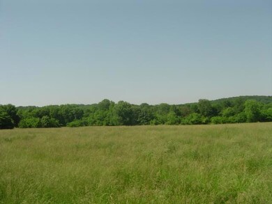 2540 Fairfield Pike, Shelbyville, TN 37160 - photo 3