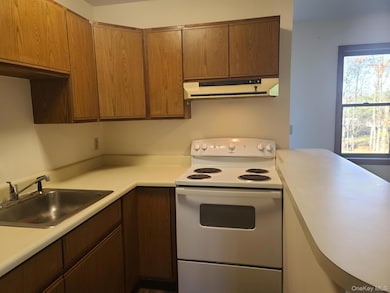 1022 Violet Ave unit A, Hyde Park, NY 12538 - photo 7