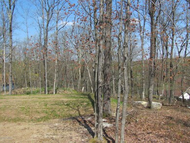 203 Rodeo Dr, Blooming Grove Township, PA 18428 - photo 6