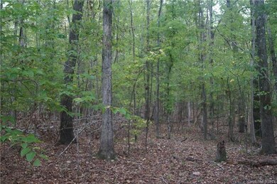 00 Mcgill Rd, Smyrna, SC 29743 - photo 5