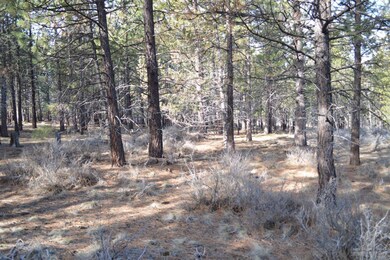 19445 Bainbridge Ct, Bend, OR 97702 - photo 3