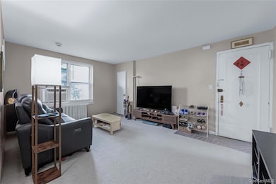 204-12 35th Ave unit 254, Bayside, NY 11361 - photo 3