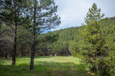 TBD 37 Clear Creek Rd, Cascade, ID 83611 - photo 3